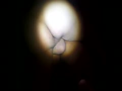A scat pair was seen on camera engaging in brutal anal intercourse.